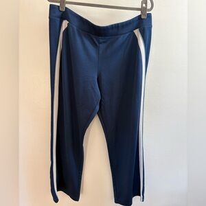 Athletic Works Blue Stripe Athletic Pants L (12-14)